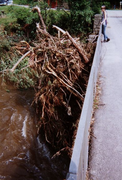 debris against bridge supports